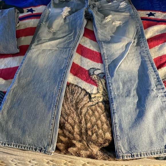 Abercrombie & Fitch - Picture 1 of 4